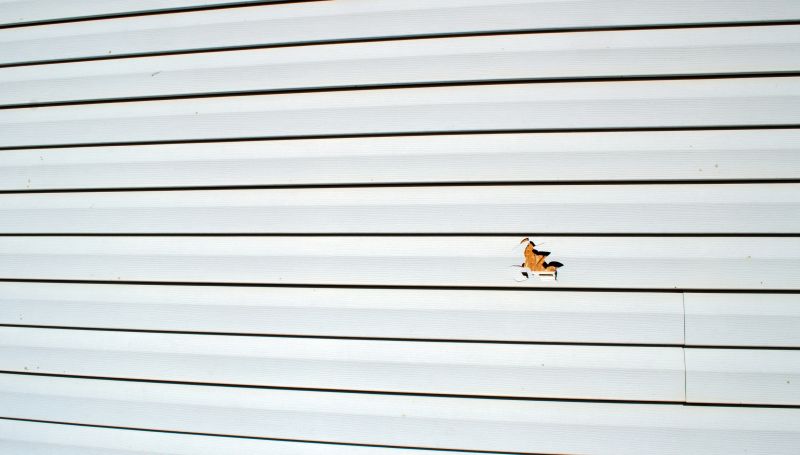 Damaged Siding