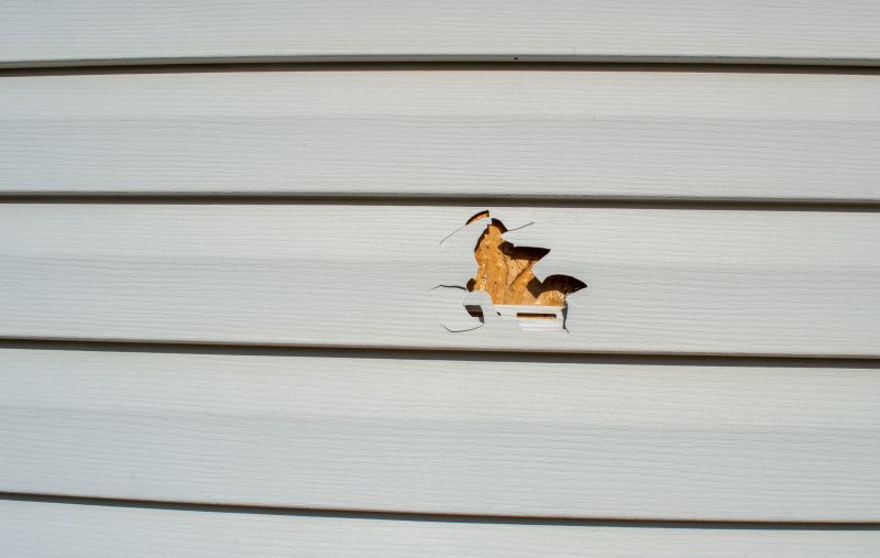 Vinyl Cladding Repair